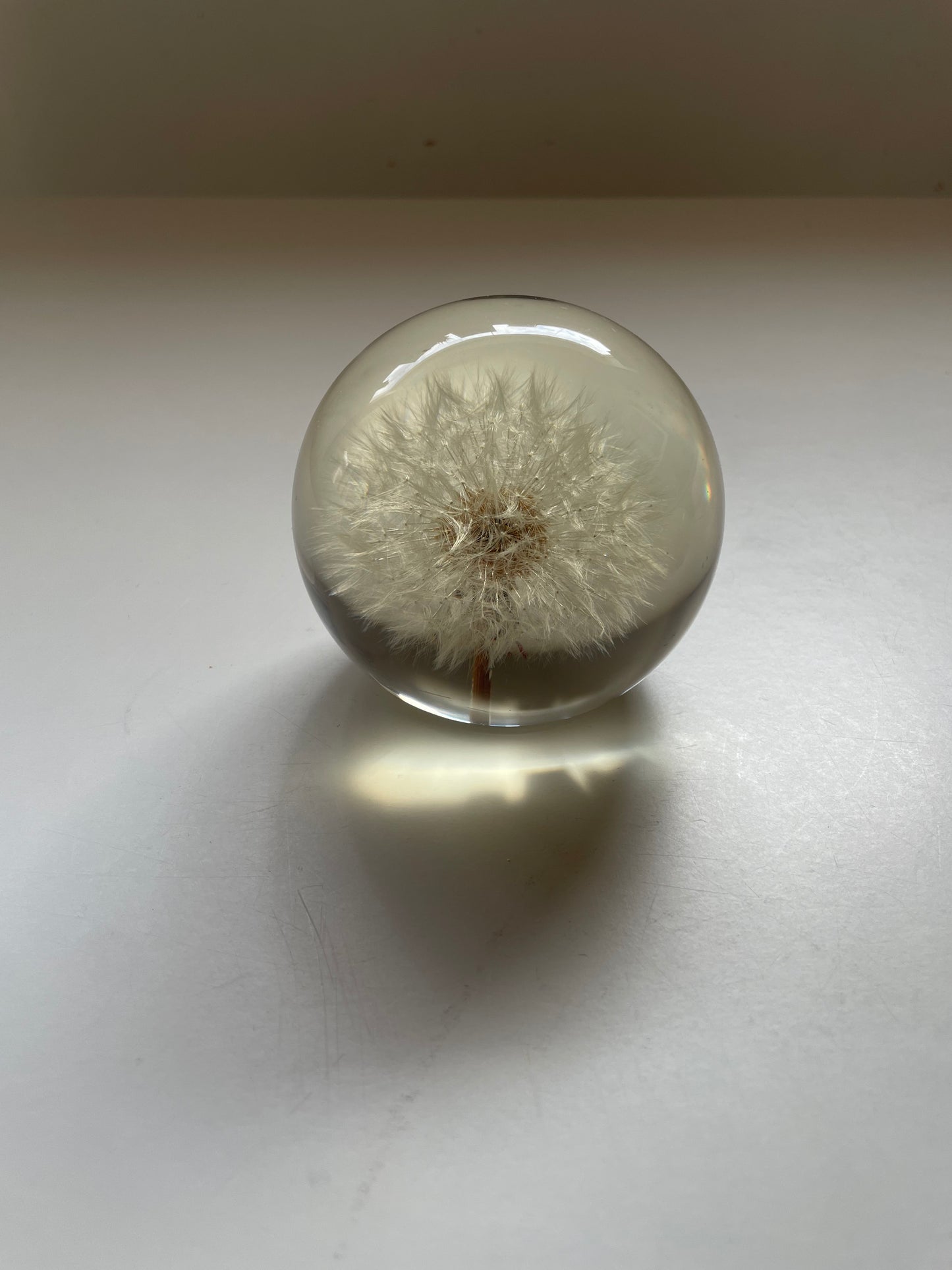 Set of 3 dandelions set in resin spheres