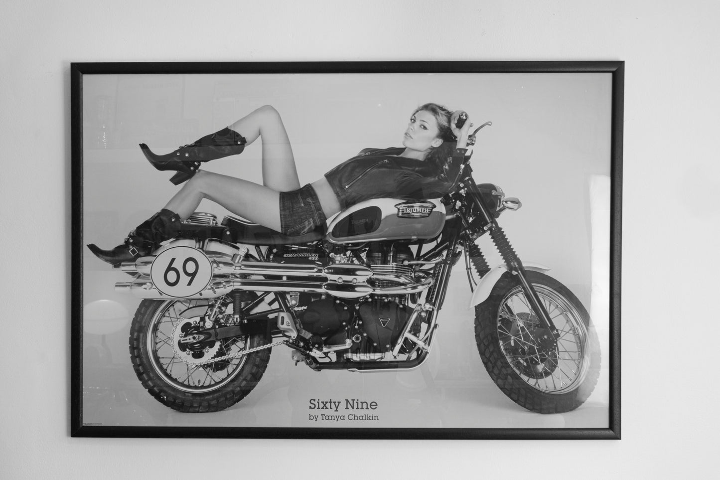 Fantastic Sixty Nine by Tanya Chalkin - Triumph