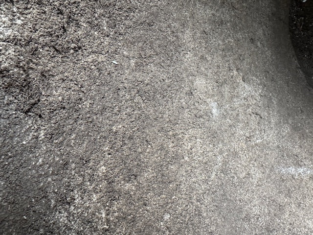 Vintage Willy Guhl Cone Planter for Eternit – 1960s Icon (medium)