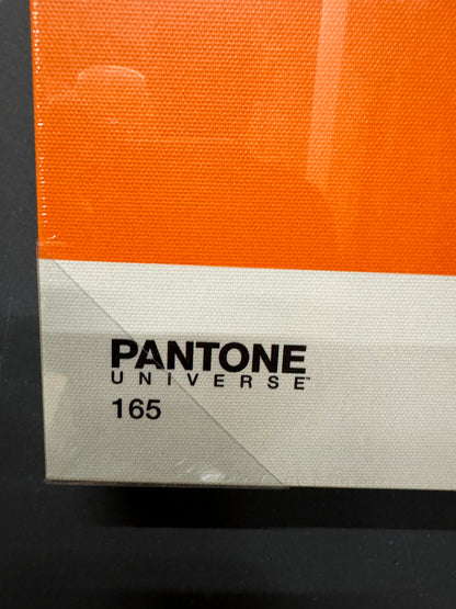 Pantone Universe Art Pictures