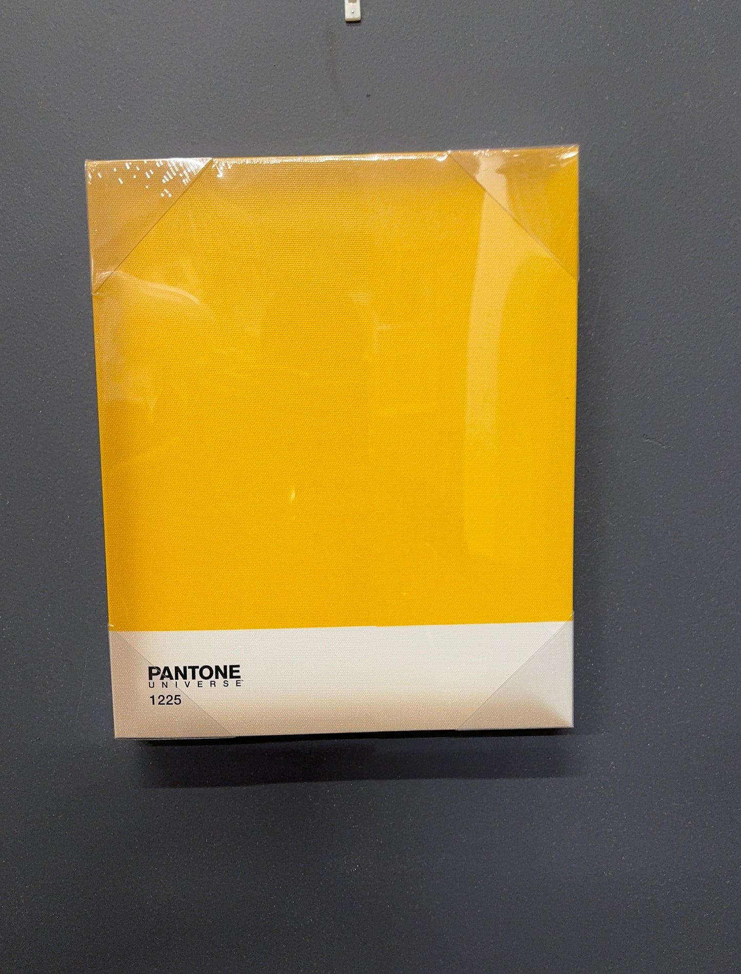 Pantone Universe Art Pictures