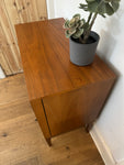 Mid Century Modern Teak 2 Door Cabinet