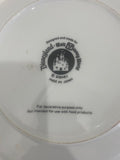 Disneyland Walt Disney World Ceramic Display Plate