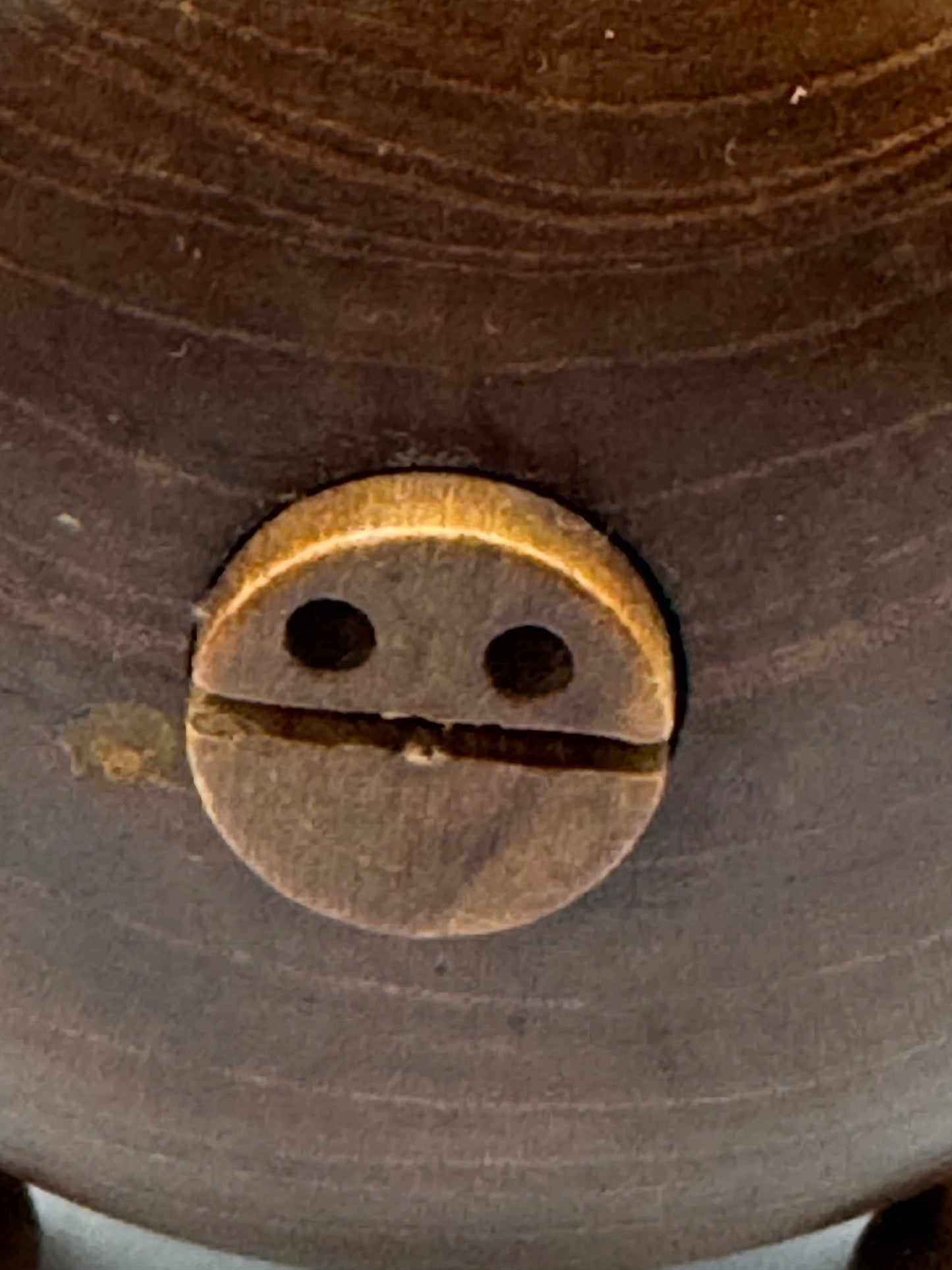 Rare Danish Teak Pig Coaster Set – Transforming Pig by Ernst Henriksen, Made in Denmark