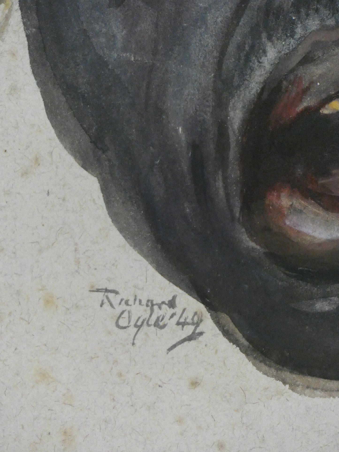 Tribal Man with Roar (Matabele)