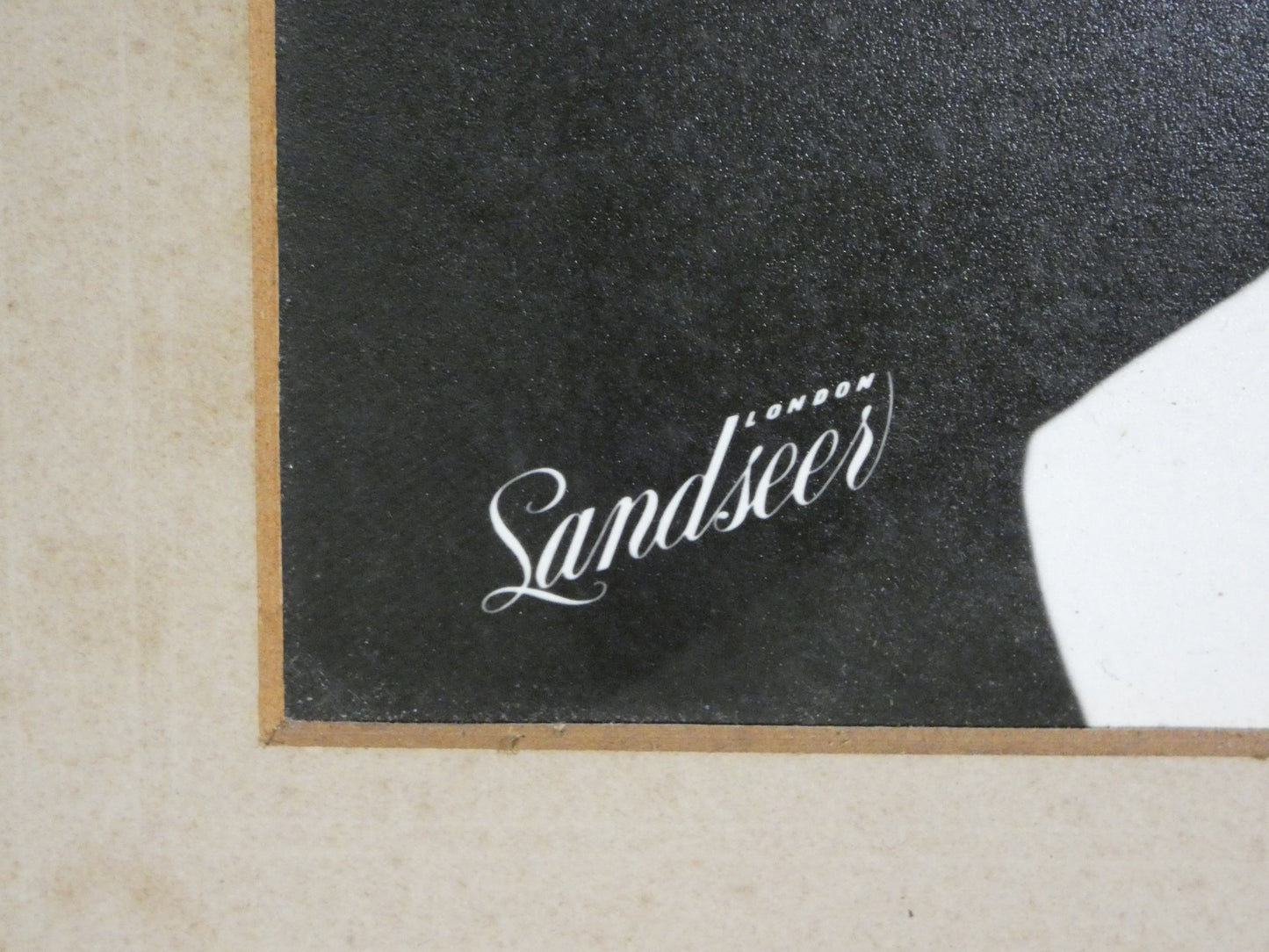 Vintage Portrait Photograph of “Jimmy Lee” | 1940s–1950s Character Study | Framed Black & White Photography