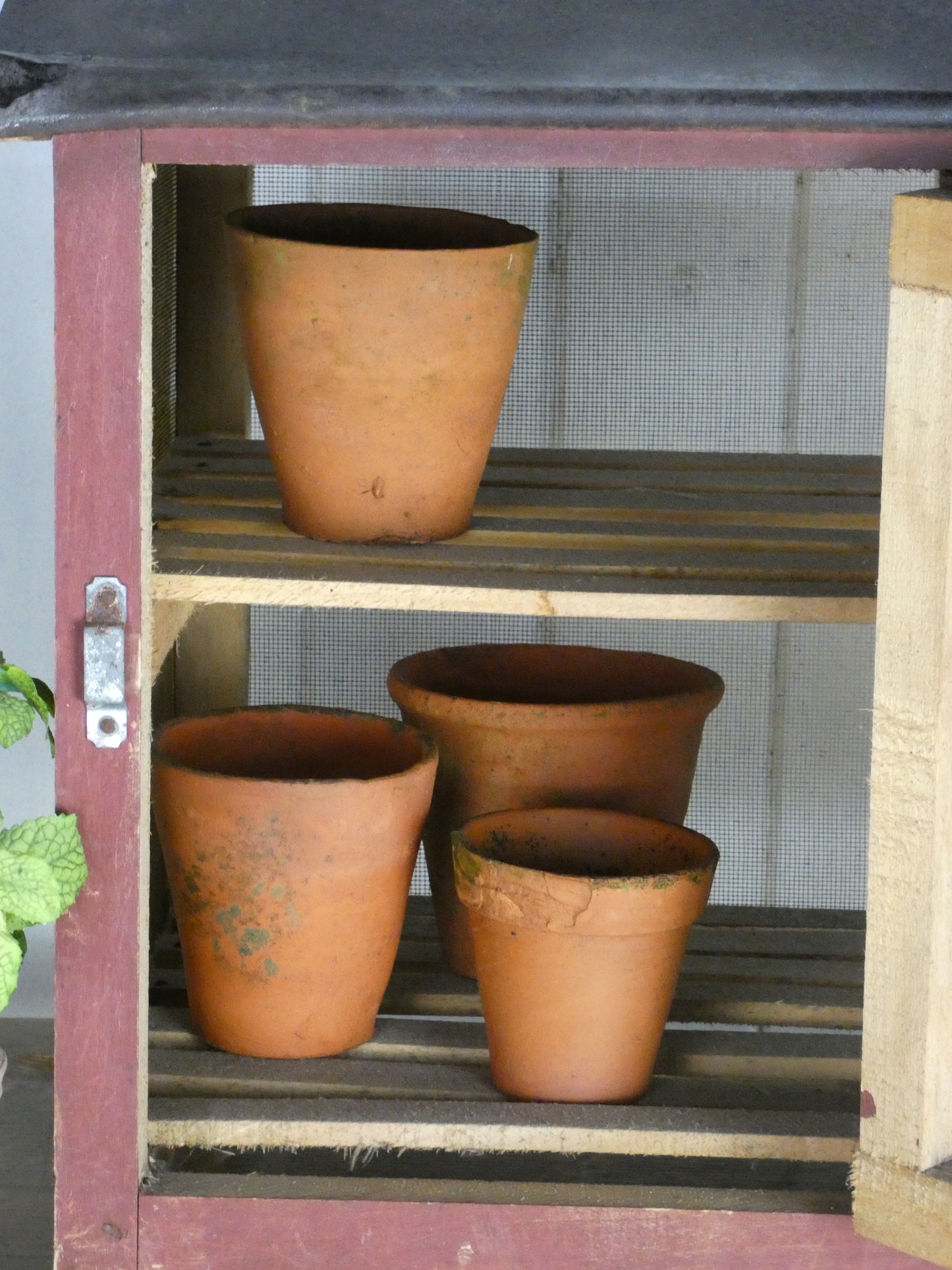Vintage French Cheese Storage Cabinet | Rustic Wooden Larder Cupboard with Mesh Doors | 49.5cm