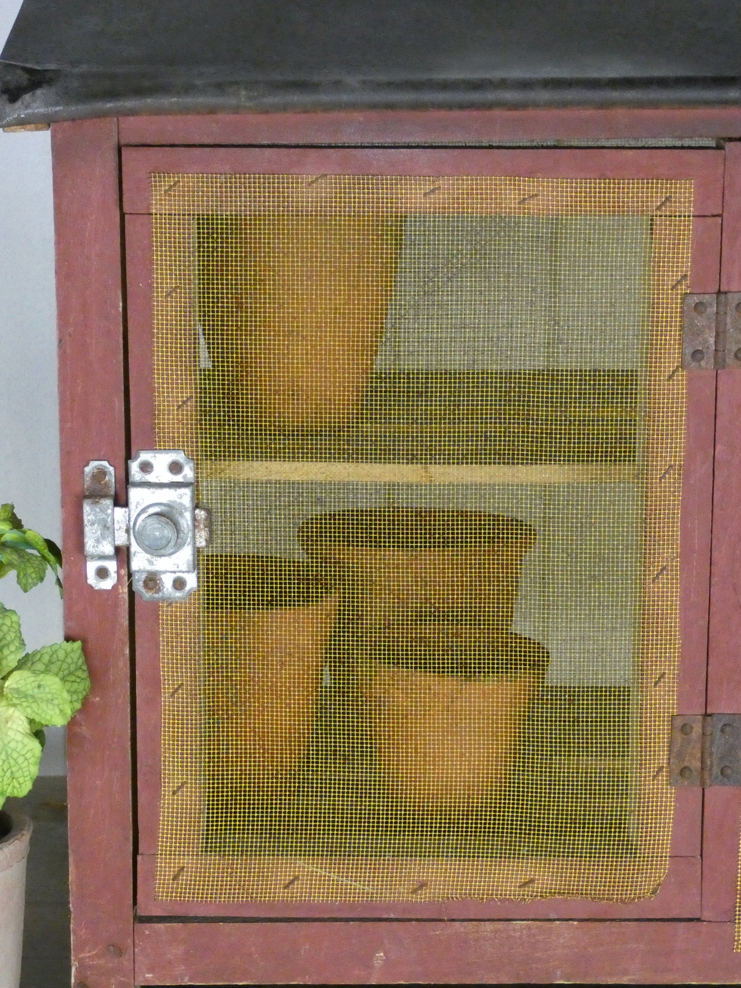 Vintage French Cheese Storage Cabinet | Rustic Wooden Larder Cupboard with Mesh Doors | 49.5cm