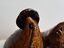 Vintage Mid-Century Aldo Londi For Bitossi Chicken / Rooster Italy