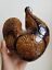 Vintage Mid-Century Aldo Londi For Bitossi Chicken / Rooster Italy