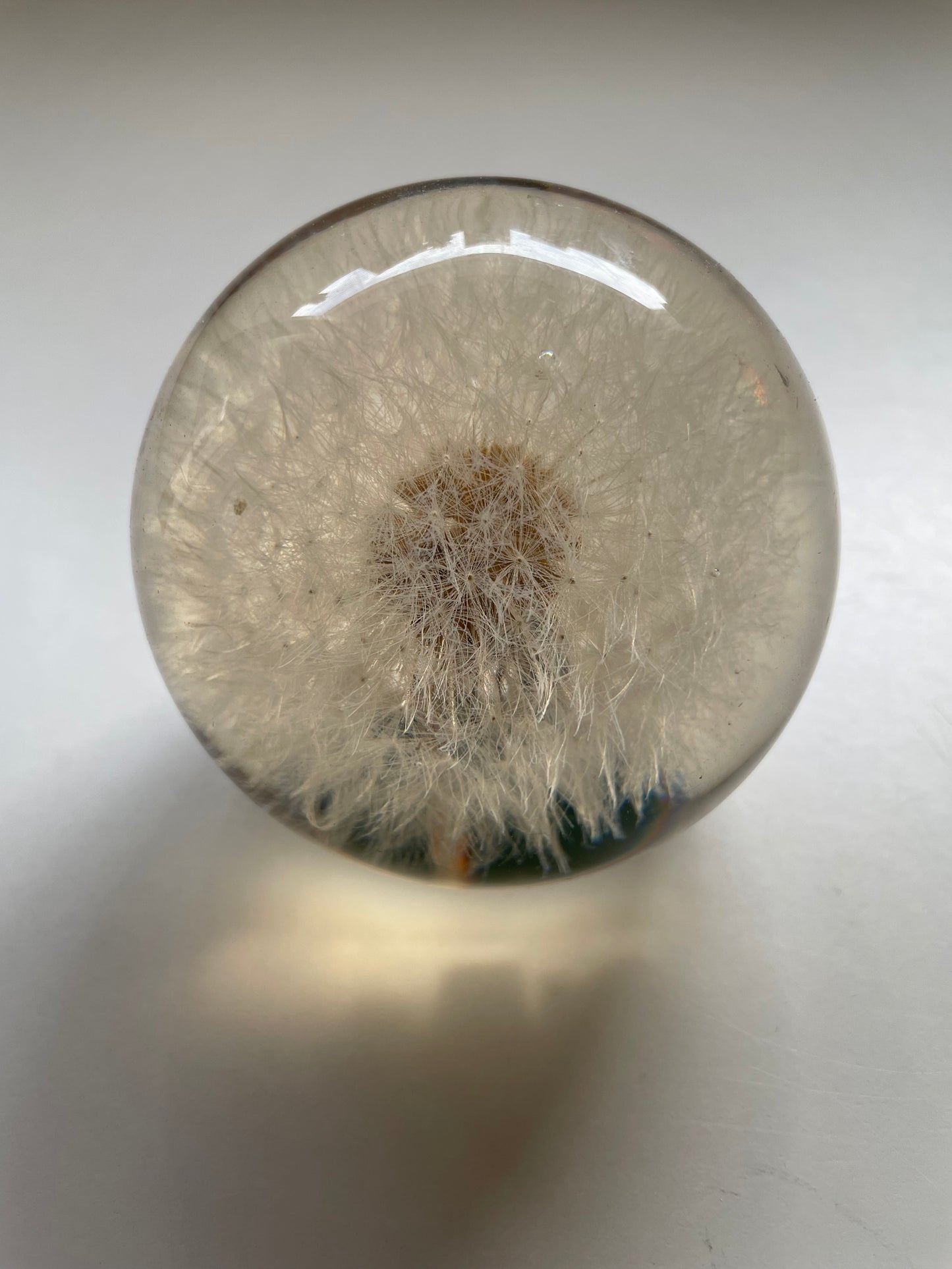 Set of 3 dandelions set in resin spheres