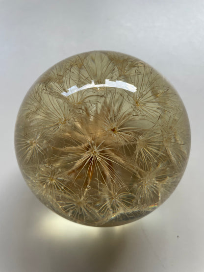 Dried flower set in a resin sphere