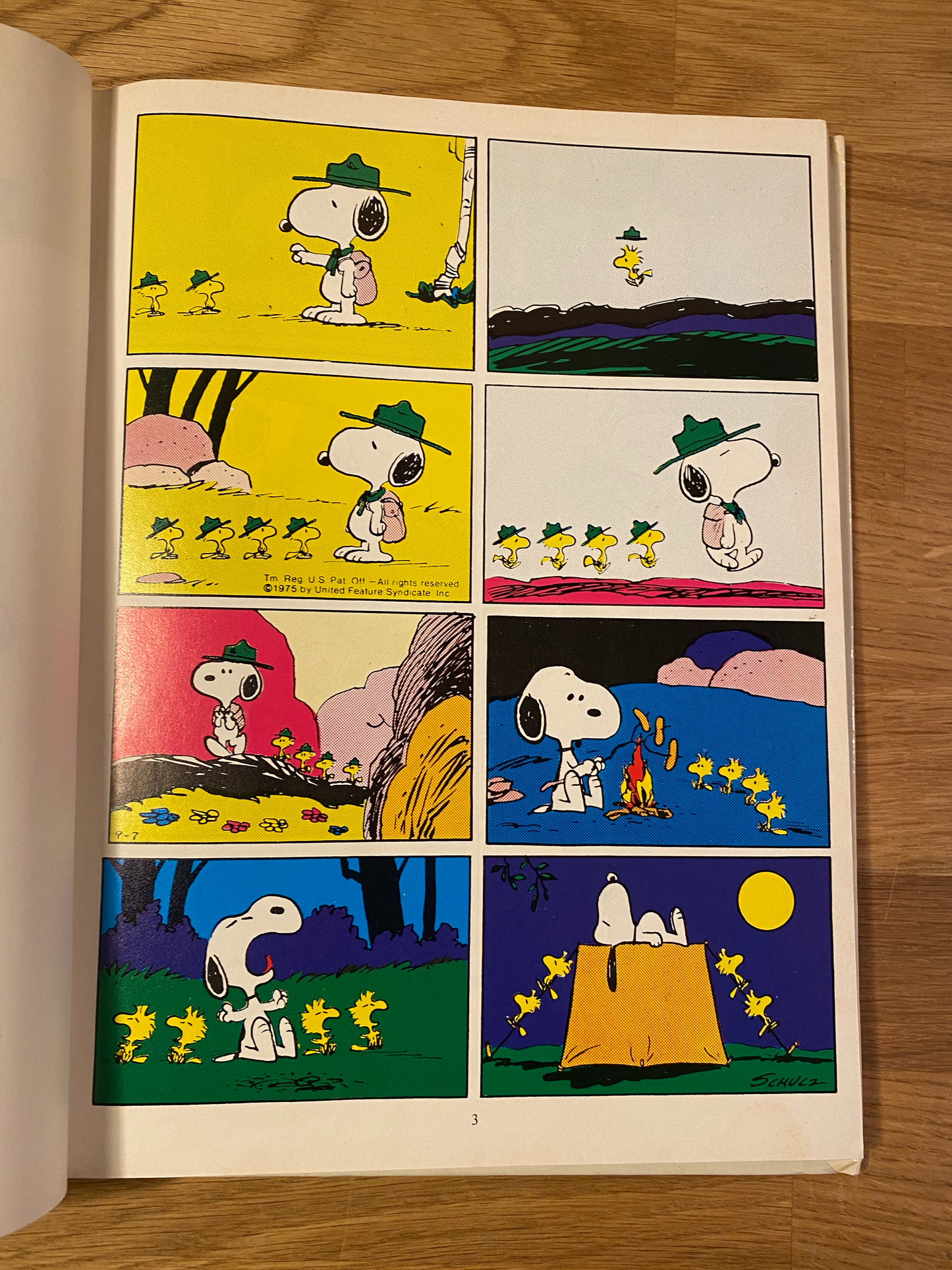 Peanuts - You're a Good Scout Snoopy - The Peanuts Gang . Lucy rules  ok?