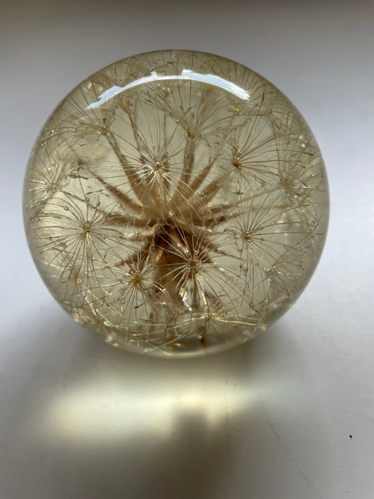 Dried flower set in a resin sphere