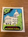 Vintage American waterslide  travel sticker - Tallahassee Florida