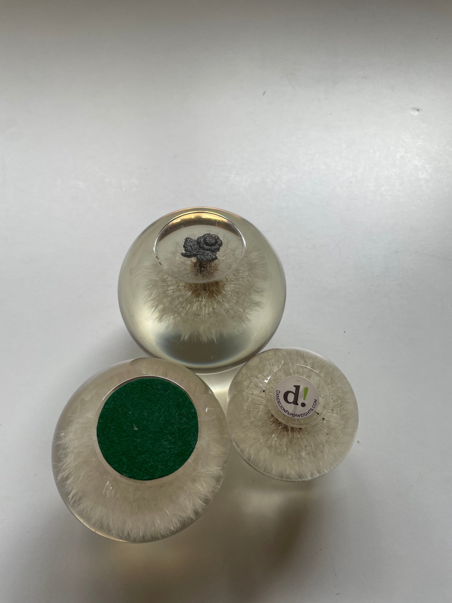 Set of 3 dandelions set in resin spheres
