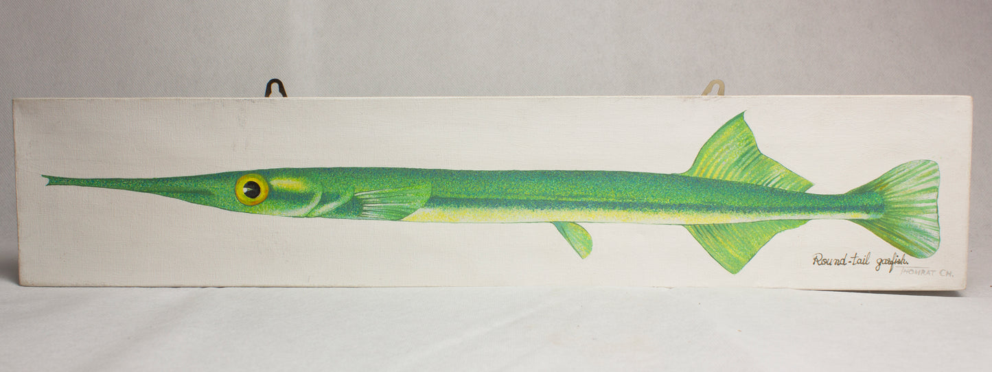 Fishes on Canvas  - charming - vibrant colours modernist