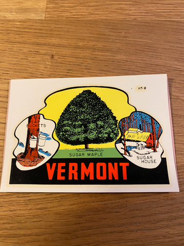 Vintage American waterslide  travel sticker - Vermont 1