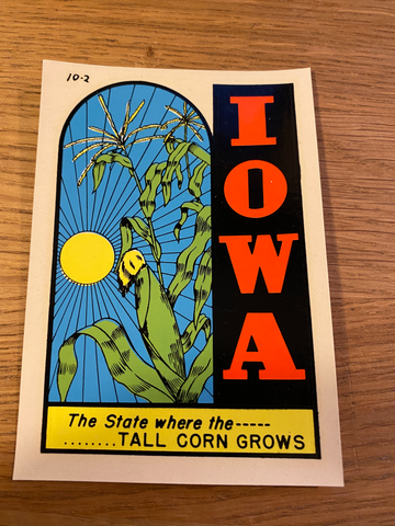 Vintage American waterslide  travel sticker - IOWA
