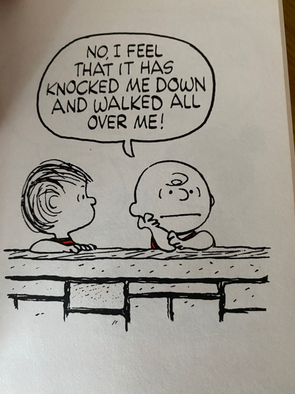 Charlie Brown's Reflections