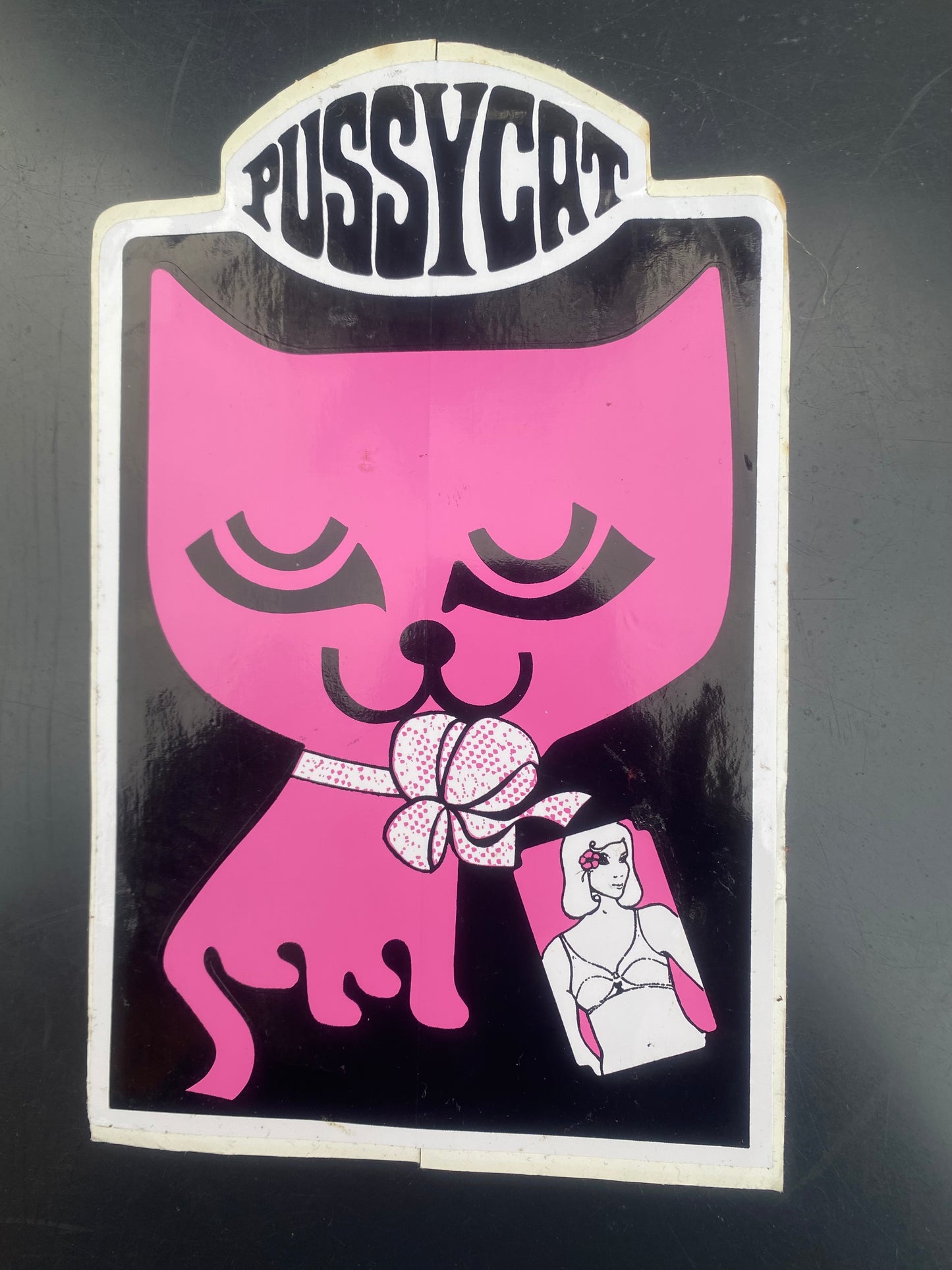 Flemish Belgium Sticker PUSSYCAT